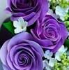 sandylima34